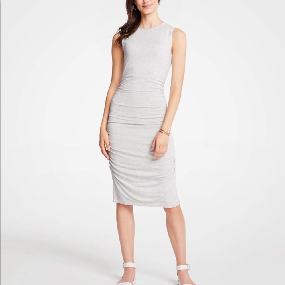 NEW Ann Taylor dress size MP